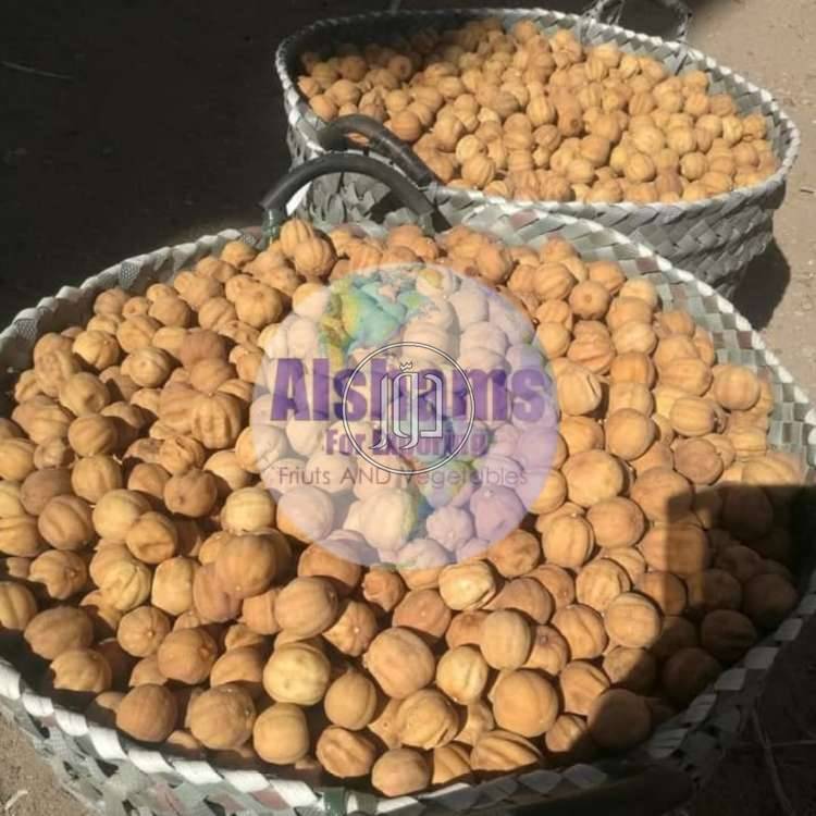 صور محاصيل وبذور زراعية في الامارات - دوّر.كوم