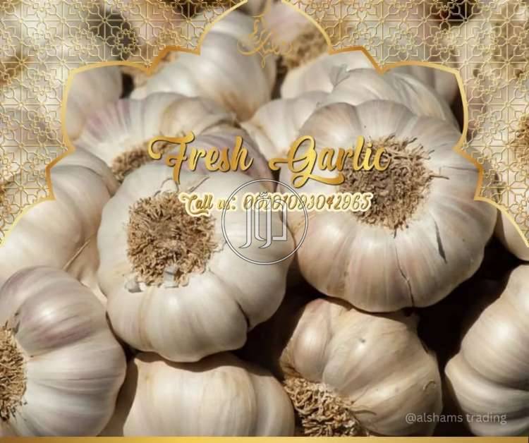 صور محاصيل وبذور زراعية في الامارات - دوّر.كوم