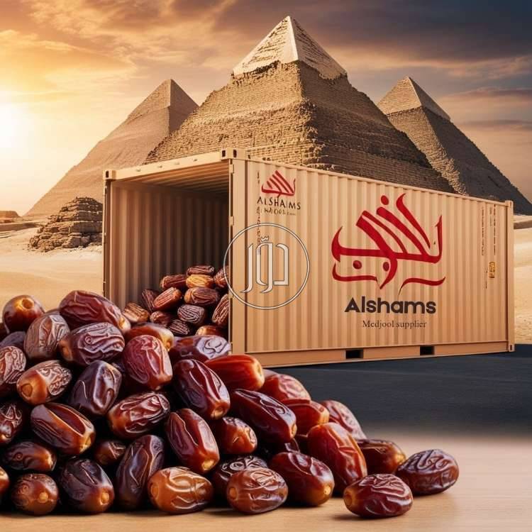 صور محاصيل وبذور زراعية في الامارات - دوّر.كوم