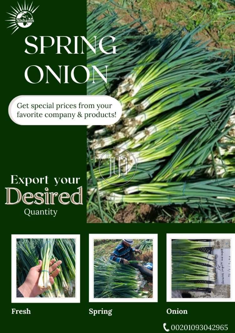 صور محاصيل وبذور زراعية في الامارات - دوّر.كوم