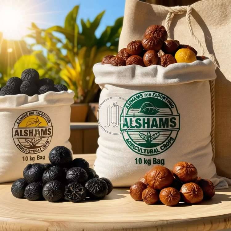 صور محاصيل وبذور زراعية في الامارات - دوّر.كوم