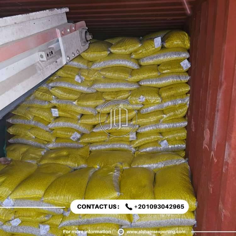 صور محاصيل وبذور زراعية في الامارات - دوّر.كوم