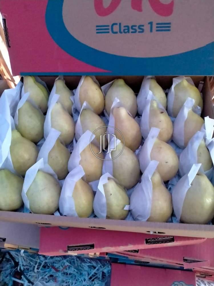 صور محاصيل وبذور زراعية في الامارات - دوّر.كوم