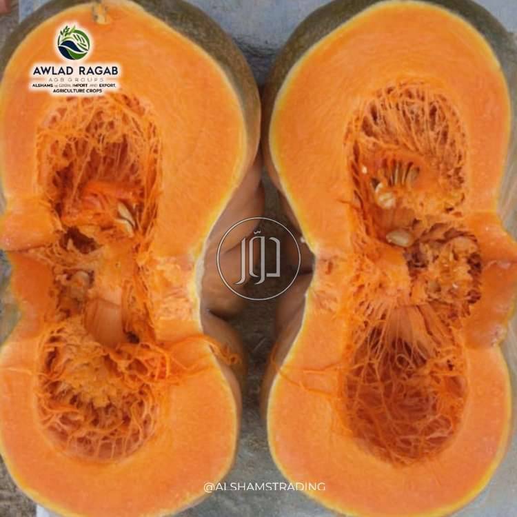 صور محاصيل وبذور زراعية في الامارات - دوّر.كوم