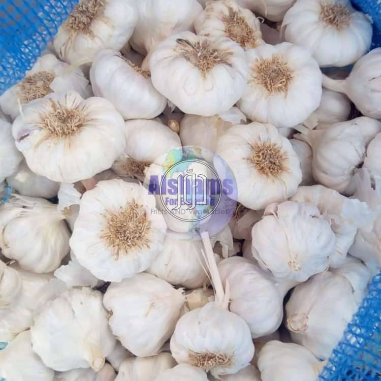 صور محاصيل وبذور زراعية في الامارات - دوّر.كوم