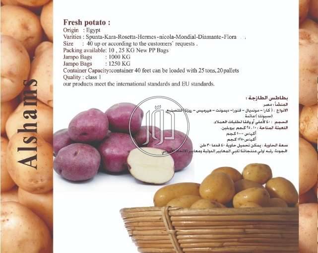 صور محاصيل وبذور زراعية في الامارات - دوّر.كوم