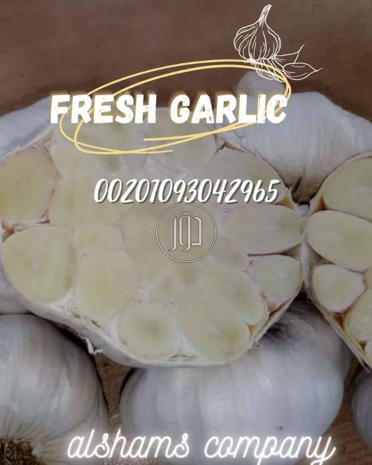 صور محاصيل وبذور زراعية في الامارات - دوّر.كوم