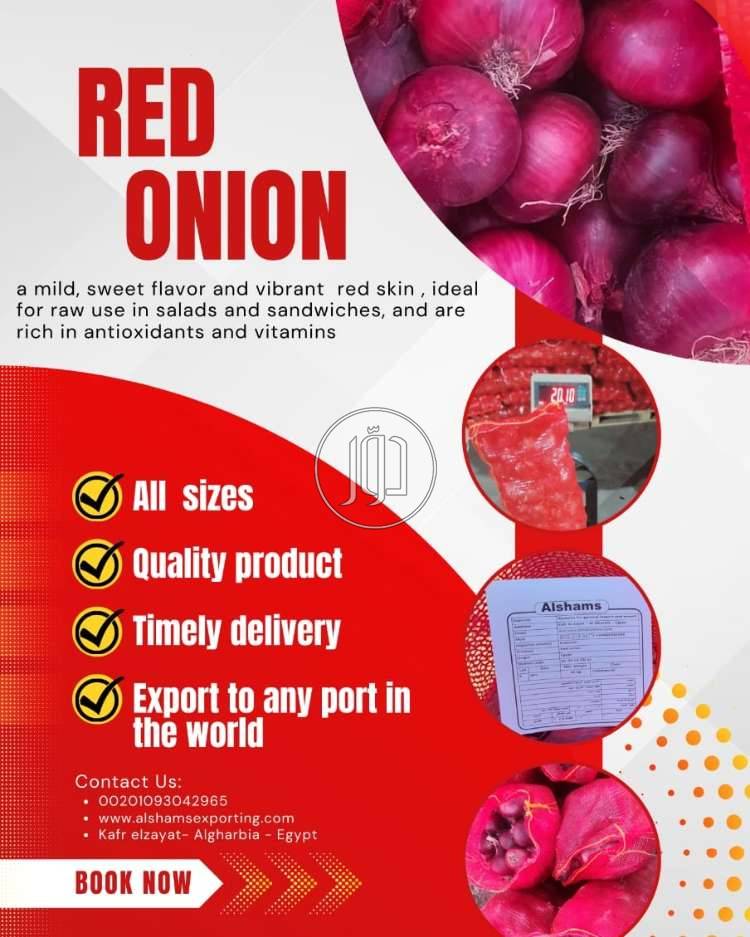 صور محاصيل وبذور زراعية في الامارات - دوّر.كوم