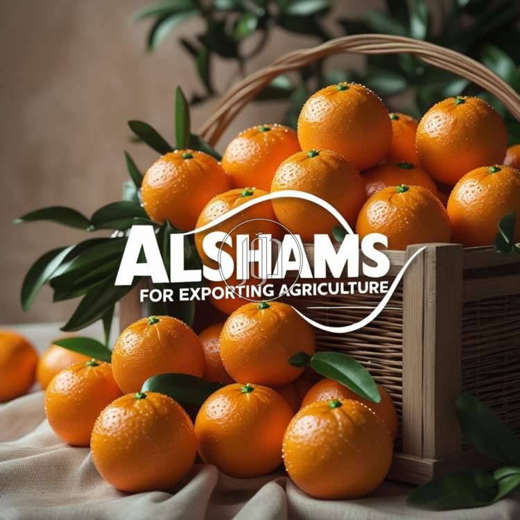 صور محاصيل وبذور زراعية في الامارات - دوّر.كوم