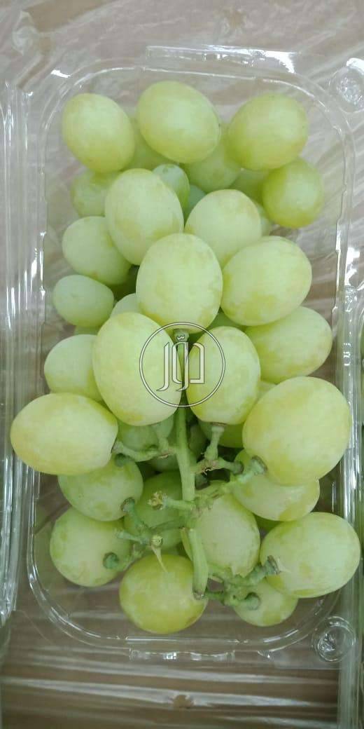 صور محاصيل وبذور زراعية في الامارات - دوّر.كوم