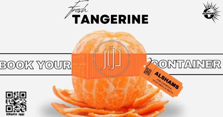 صور محاصيل وبذور زراعية في الامارات - دوّر.كوم