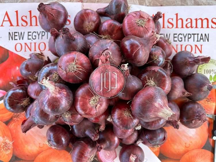 صور محاصيل وبذور زراعية في الامارات - دوّر.كوم