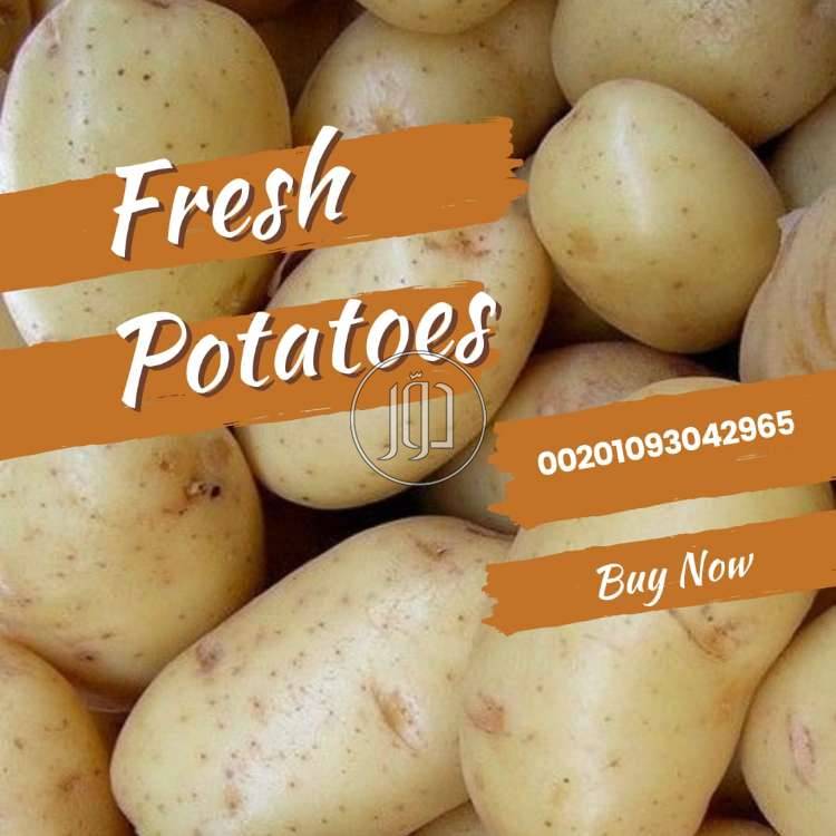 صور محاصيل وبذور زراعية في الامارات - دوّر.كوم