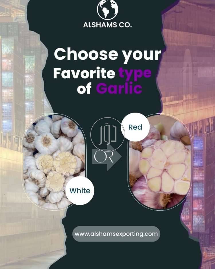 صور محاصيل وبذور زراعية في الامارات - دوّر.كوم