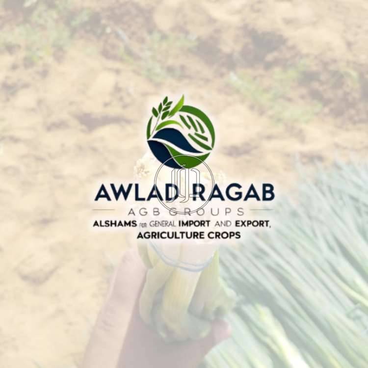 صور محاصيل وبذور زراعية في الامارات - دوّر.كوم