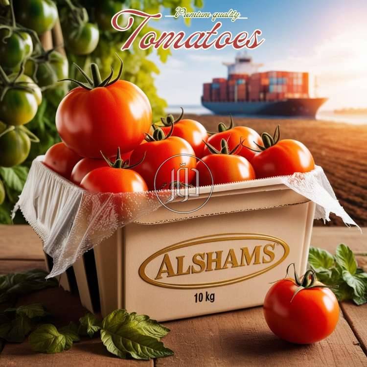 صور محاصيل وبذور زراعية في الامارات - دوّر.كوم