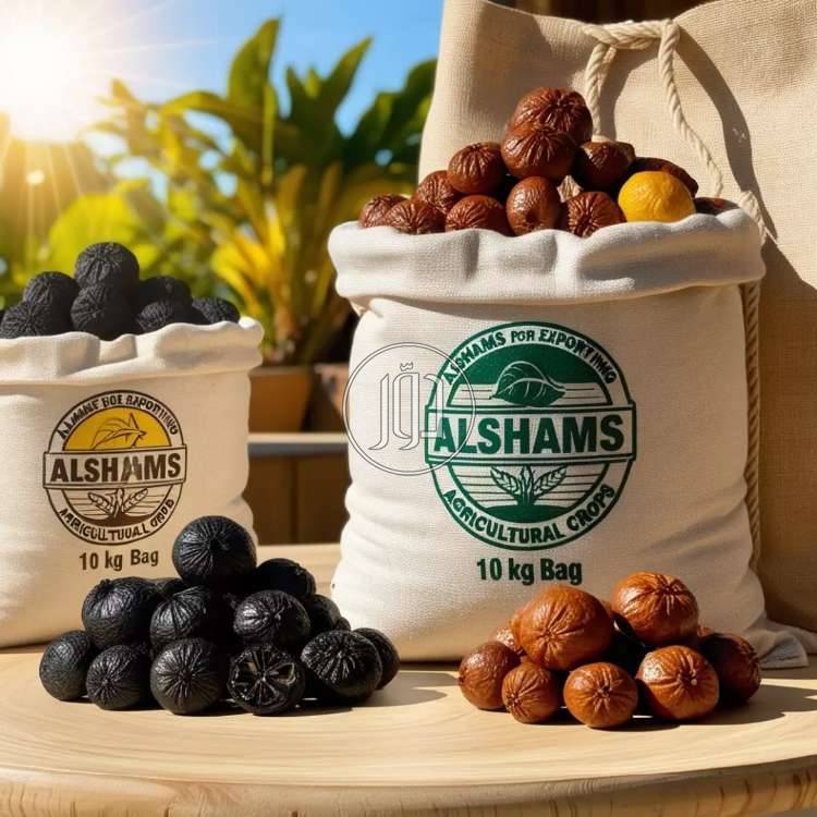 صور محاصيل وبذور زراعية في الامارات - دوّر.كوم