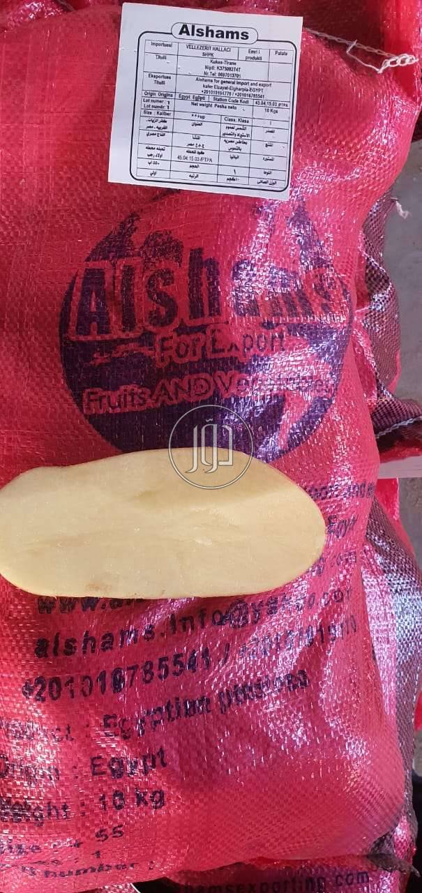 صور محاصيل وبذور زراعية في الامارات - دوّر.كوم