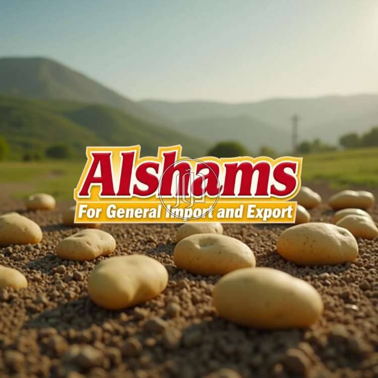 صور محاصيل وبذور زراعية في الامارات - دوّر.كوم