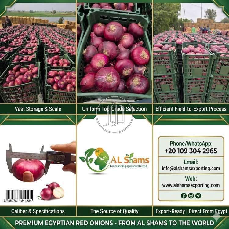 محاصيل زراعية في الامارات