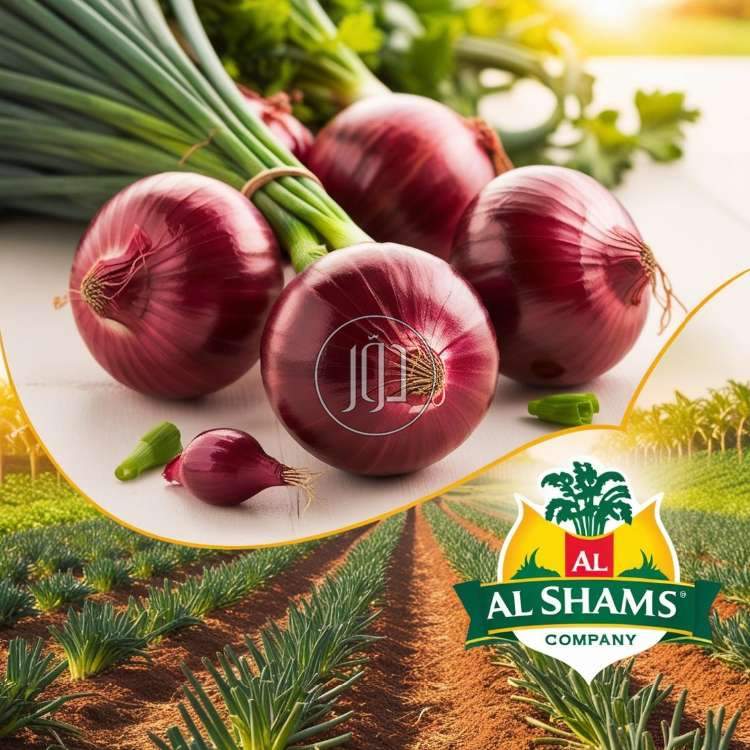 صور محاصيل وبذور زراعية في الامارات - دوّر.كوم