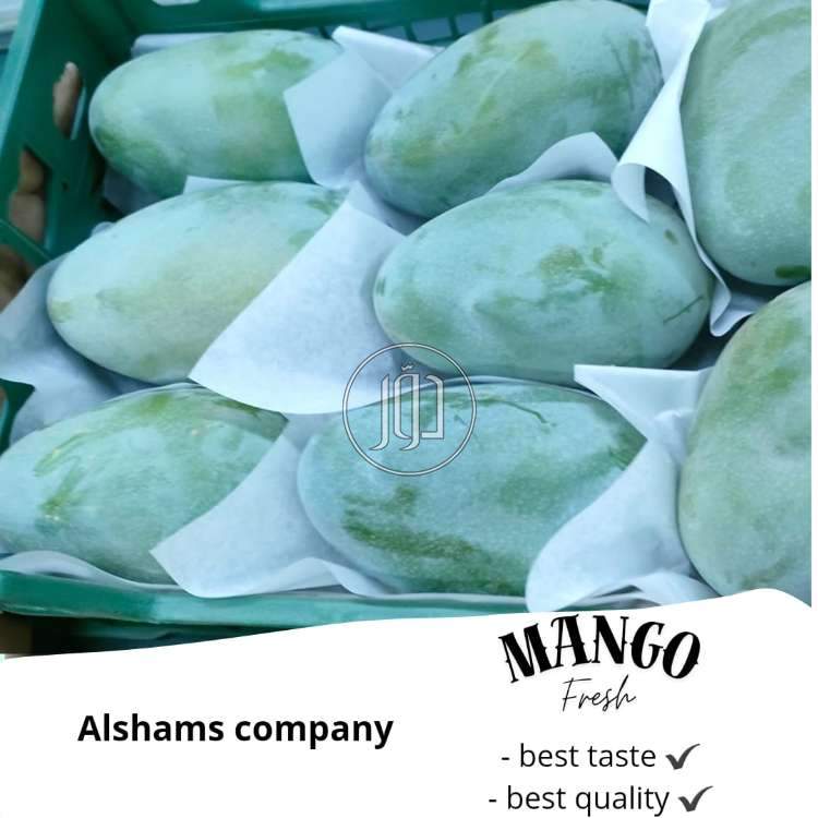 صور محاصيل وبذور زراعية في الامارات - دوّر.كوم