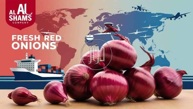 صور محاصيل وبذور زراعية في الامارات - دوّر.كوم