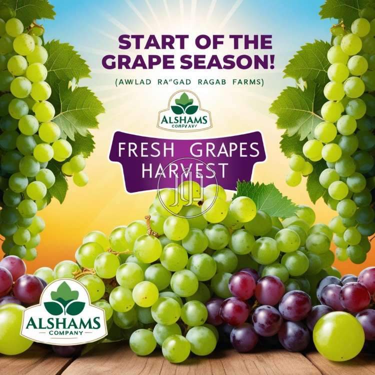 صور محاصيل وبذور زراعية في الامارات - دوّر.كوم