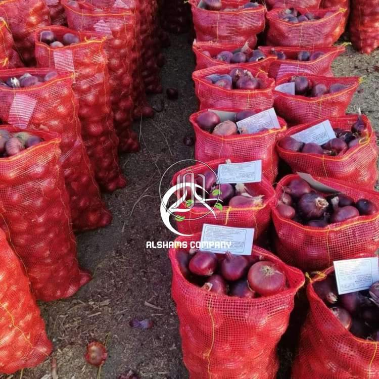 صور محاصيل وبذور زراعية في الامارات - دوّر.كوم