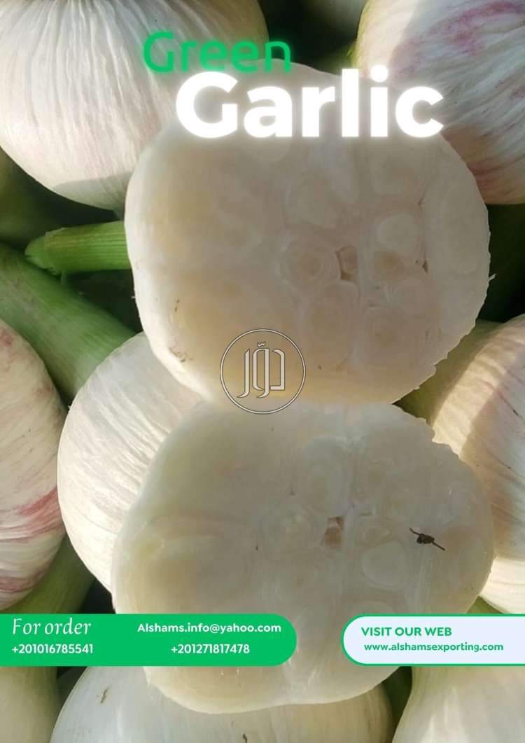 محاصيل زراعية في الامارات