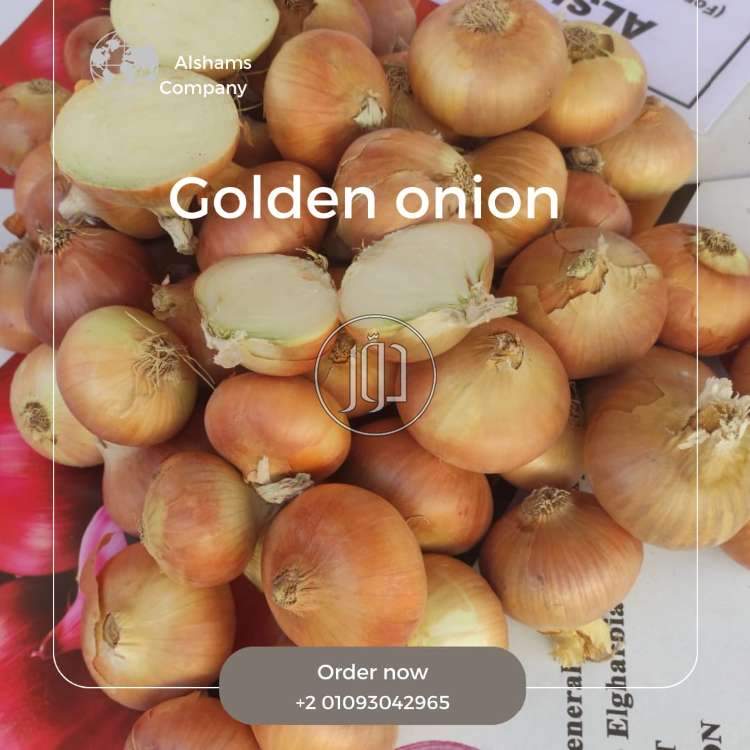 محاصيل زراعية في الامارات