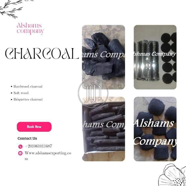 صور محاصيل وبذور زراعية في دبي - دوّر.كوم