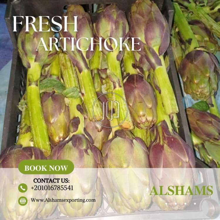 محاصيل زراعية في الامارات - دوّر.كوم