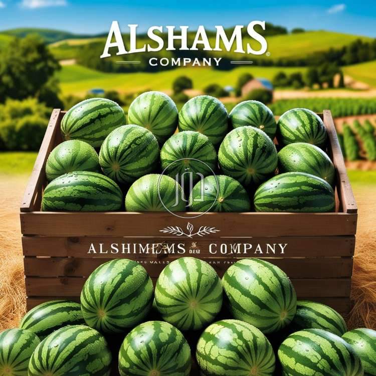 صور محاصيل وبذور زراعية في الامارات - دوّر.كوم