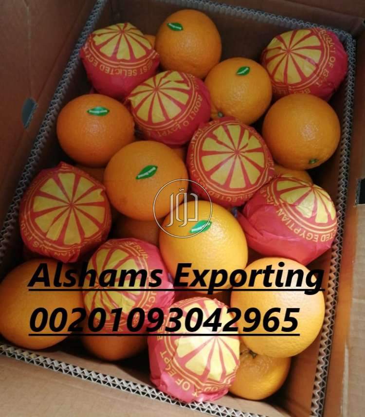 صور محاصيل وبذور زراعية في الامارات - دوّر.كوم