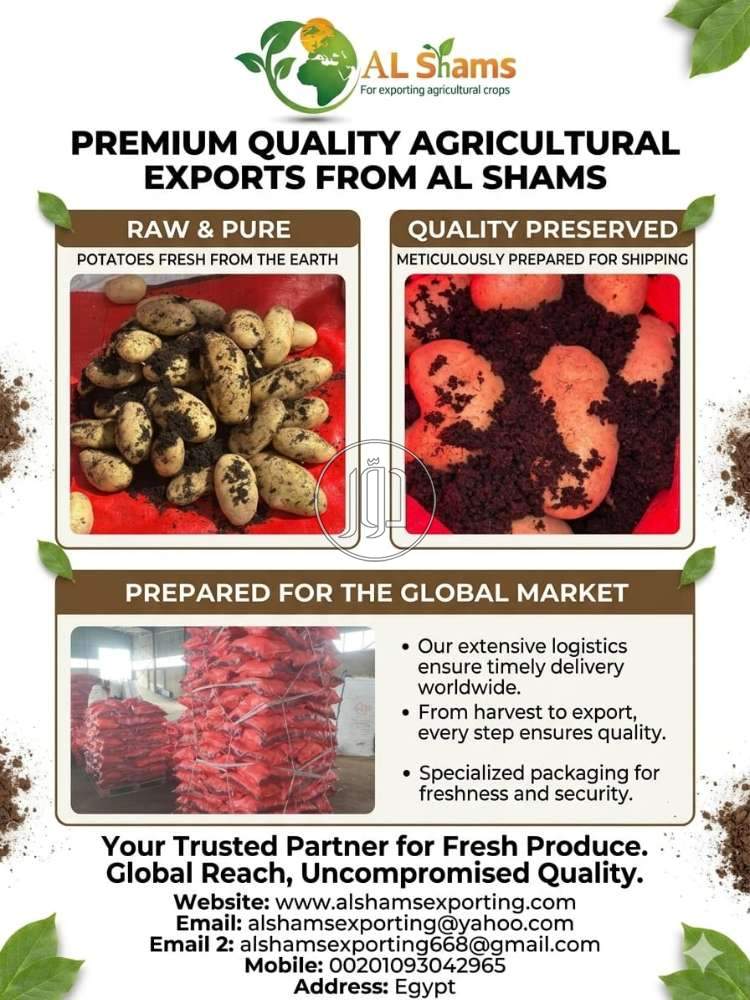 محاصيل زراعية في الامارات