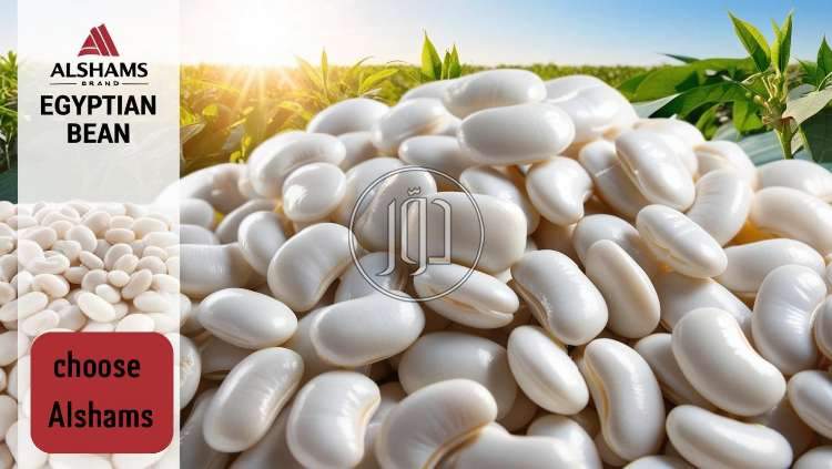 محاصيل زراعية في الامارات