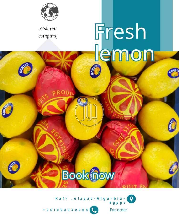 محاصيل زراعية في الامارات - دوّر.كوم