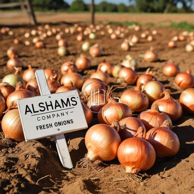 صور محاصيل وبذور زراعية في الامارات - دوّر.كوم