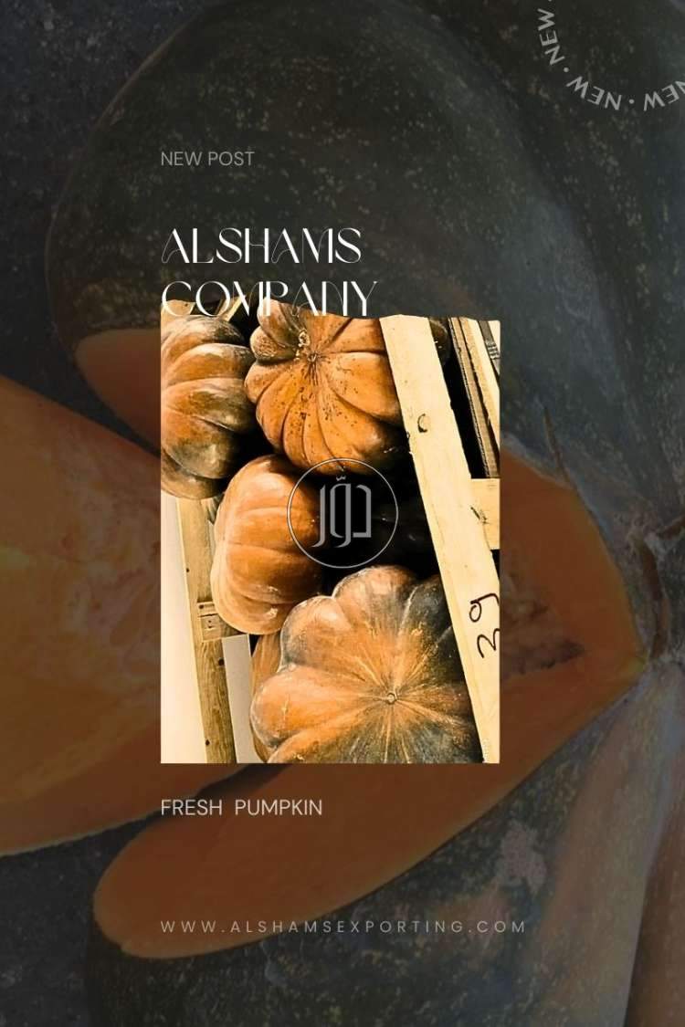 صور محاصيل وبذور زراعية في الامارات - دوّر.كوم