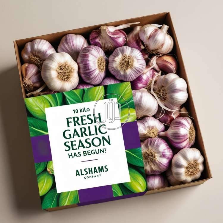 صور محاصيل وبذور زراعية في الامارات - دوّر.كوم