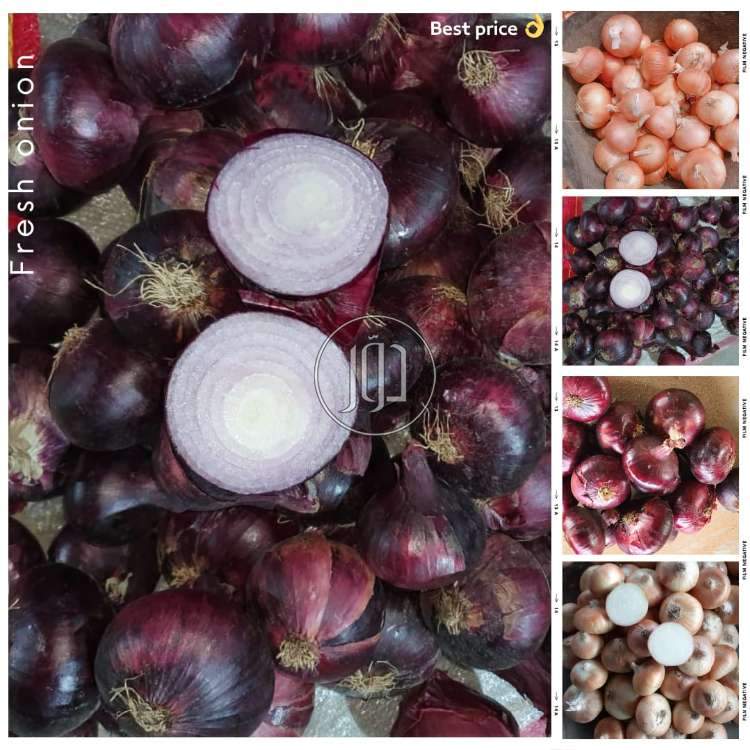 صور محاصيل وبذور زراعية في الامارات - دوّر.كوم