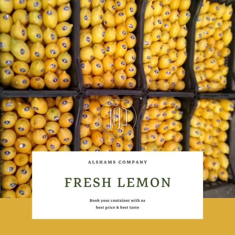 صور محاصيل وبذور زراعية في الامارات - دوّر.كوم