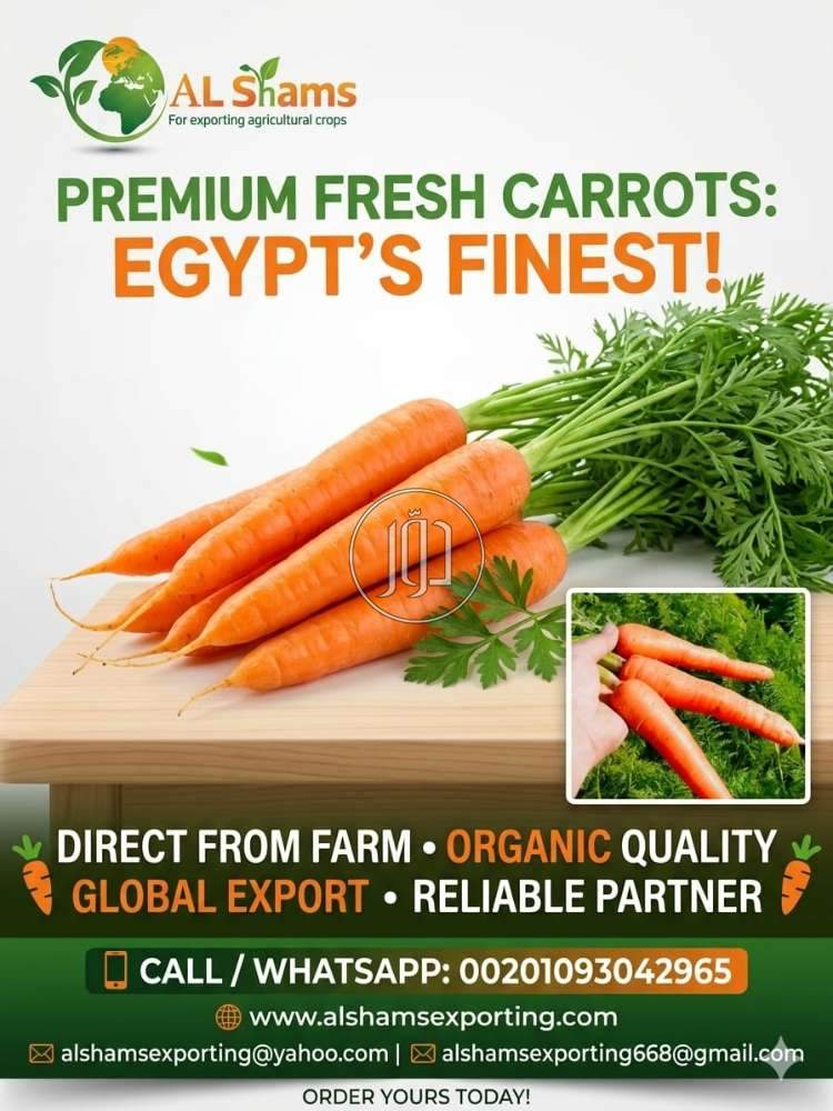 محاصيل زراعية في الامارات