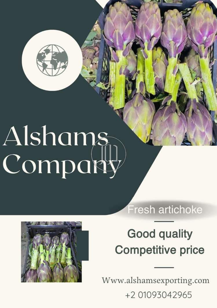 محاصيل زراعية في الامارات