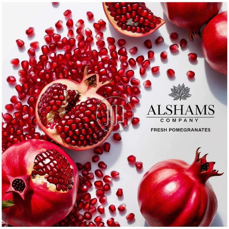 صور محاصيل وبذور زراعية في الامارات - دوّر.كوم