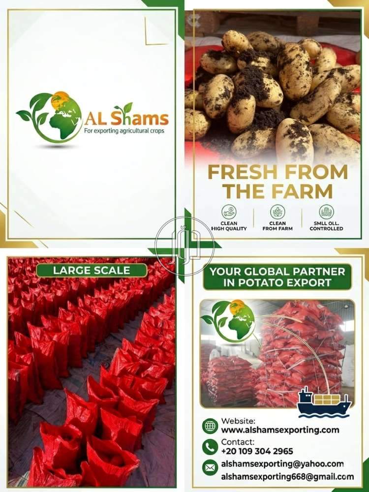 محاصيل زراعية في الامارات - دوّر.كوم