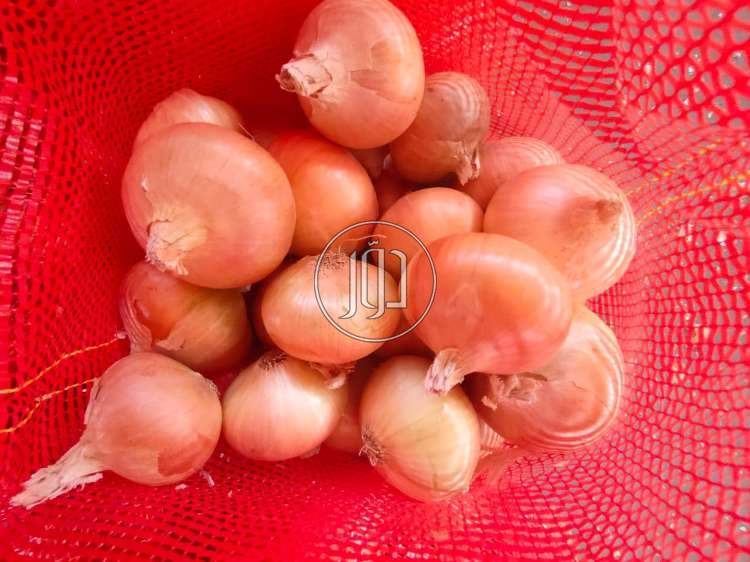 محاصيل زراعية في الامارات - دوّر.كوم