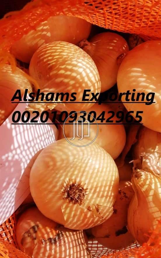 صور محاصيل وبذور زراعية في الامارات - دوّر.كوم