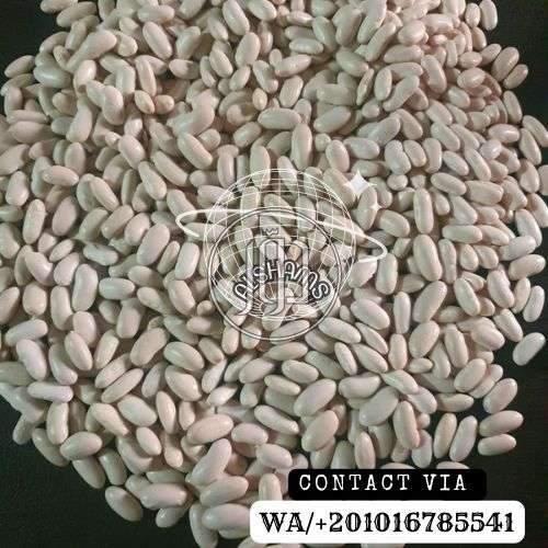 محاصيل زراعية في الامارات